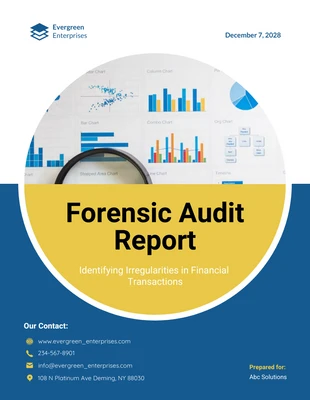 Free  Template: Forensic Audit Report