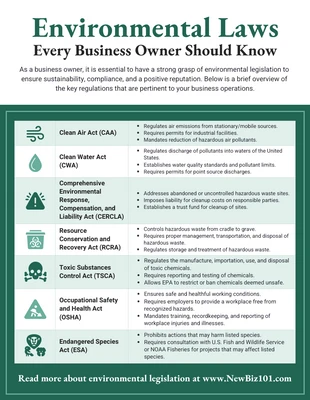 business  Template: Infografía sobre las leyes ambientales que los propietarios de empresas deben conocer