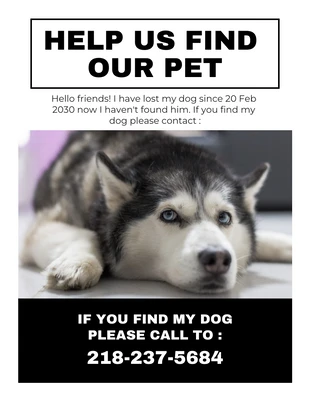 Free  Template: White Minimalist Lost Dog Flyer