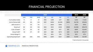 Pitch Deck Financials Slide