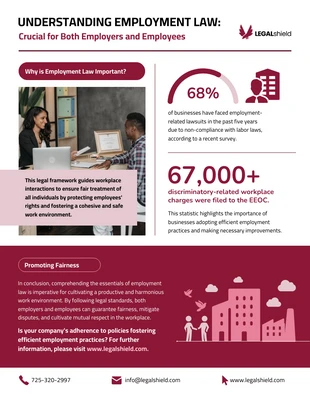 business  Template: Understanding Employment Law for Employers Infographic