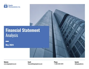 business  Template: Financial Statement Analysis Template