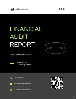 premium  Template: Financial Audit Report