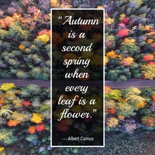 Free  Template: Autumn Flower Quote