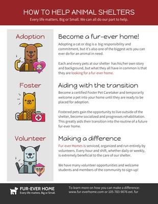 Free  Template: Rifugio per animali Sensibilizzazione delle organizzazioni non profit Infografica
