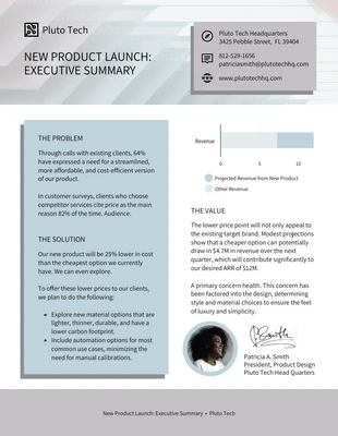 business  Template: Product One Page Executive Summary Template