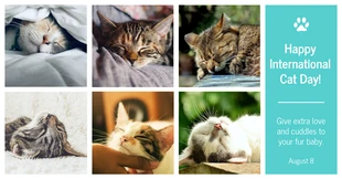 Free  Template: Message Facebook de la Journée du chat de la grille