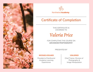 business  Template: Photography Course Certificate