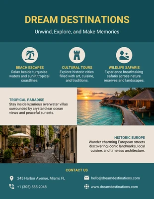 business  Template: Plantilla de folleto de viaje