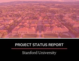 Internal Project Status Report