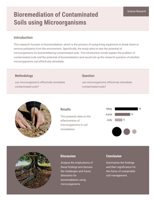 Free  Template: Biorremediación con pasteles de suelos contaminados
