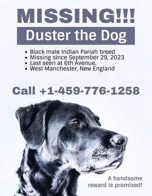 Free  Template: Simple Missing Dog Poster