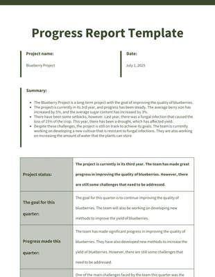 business  Template: Project Progress Report Template