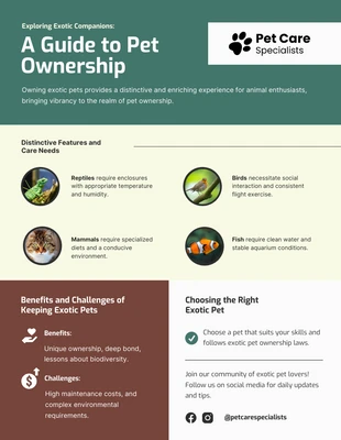 premium  Template: A Guide to Exotic Pet Ownership Infographic