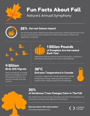 business  Template: حقائق ممتعة عن الخريف Infographic