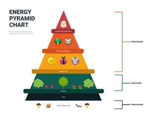 Illustrative Nature Pyramid Chart
