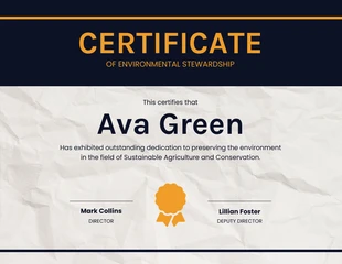 business  Template: Textured Stewardship Simple Certificate