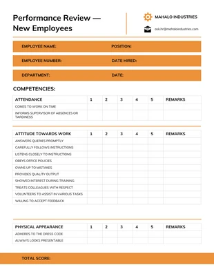 premium  Template: Employer Performance Review Examples