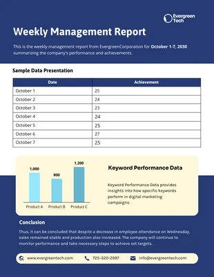 Free  Template: Weekly Management Report Template