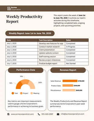 premium  Template: Weekly Productivity Report Template