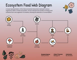 Free  Template: Illustratives Ökosystem-Nahrungsnetzdiagramm