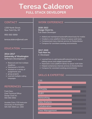 business  Template: Pink Developer Simple Resume
