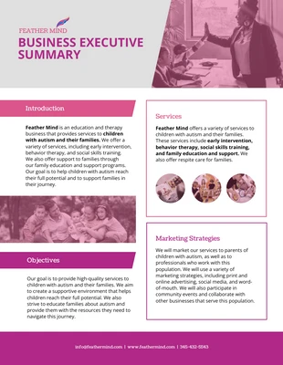 business  Template: Business Executive Summary Example