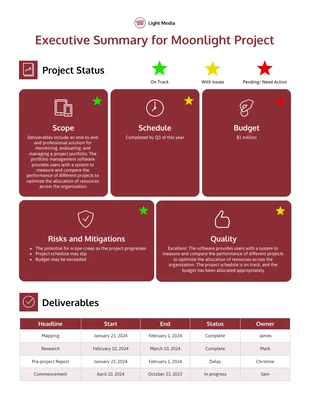 Free  Template: Executive Summary Project Example