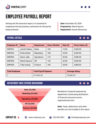 Free  Template: Modello di rapporto sulle buste paga dei dipendenti