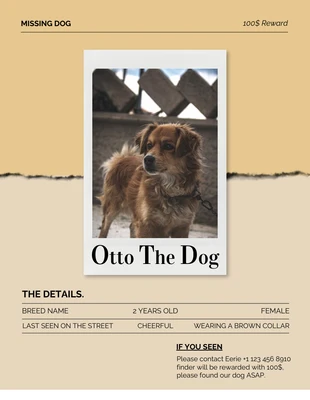 Free  Template: Soft Brown Verlorener Hund Poster