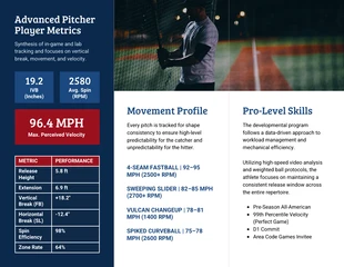 Baseball Pitcher Brochure Template - Page 2
