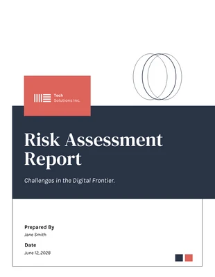 Free  Template: Risk Assessment Report