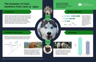 Free  Template: Pôster científico Como os lobos evoluíram para cães