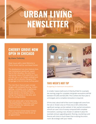 Free  Template: Orange Real Estate Newsletter