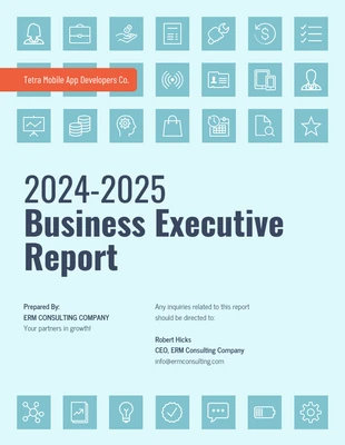 business  Template: Teal Business Executive Report