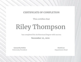 Minimal Architecture Certificate of Completion