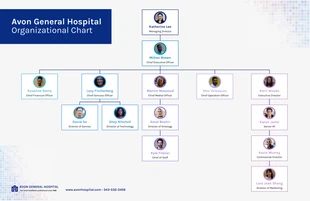 premium  Template: Corporate Hospital Organizational Chart