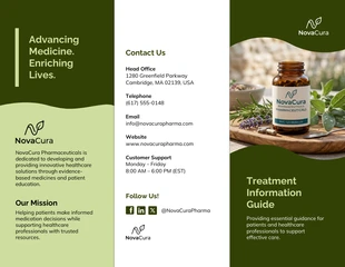 business  Template: Modèle de brochure sur les médicaments