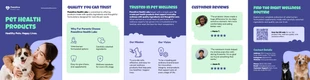 premium  Template: 5 Fold Brochure Template