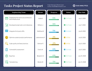 business  Template: Professional Summary Project Status Report