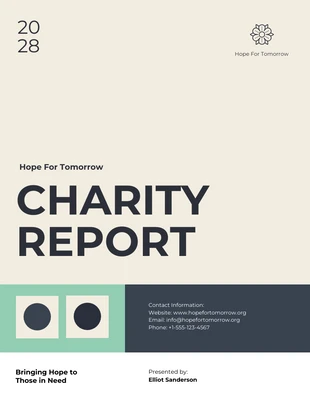 Free  Template: Red Color Charity Report