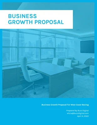 Vibrant B2C Consulting Proposal