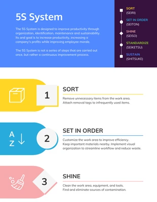 premium  Template: 5S System Process Infographic Template