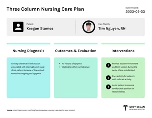 Free  Template: Three Column Nursing Care Plan