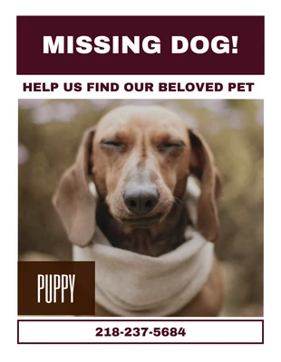 Free  Template: Flyer blanco retro minimalista de perro desaparecido