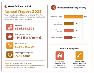 Business Corporate Annual Report