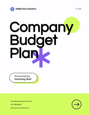 Free  Template: Bunter minimalistischer Unternehmensbudgetplan