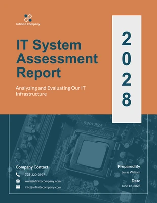 Free  Template: IT System Assessment Report