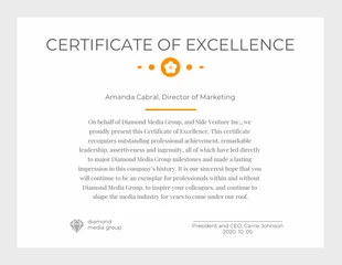 Free  Template: Silver Excellence Certificate
