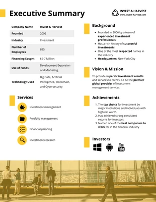 business  Template: One Page Summary Template